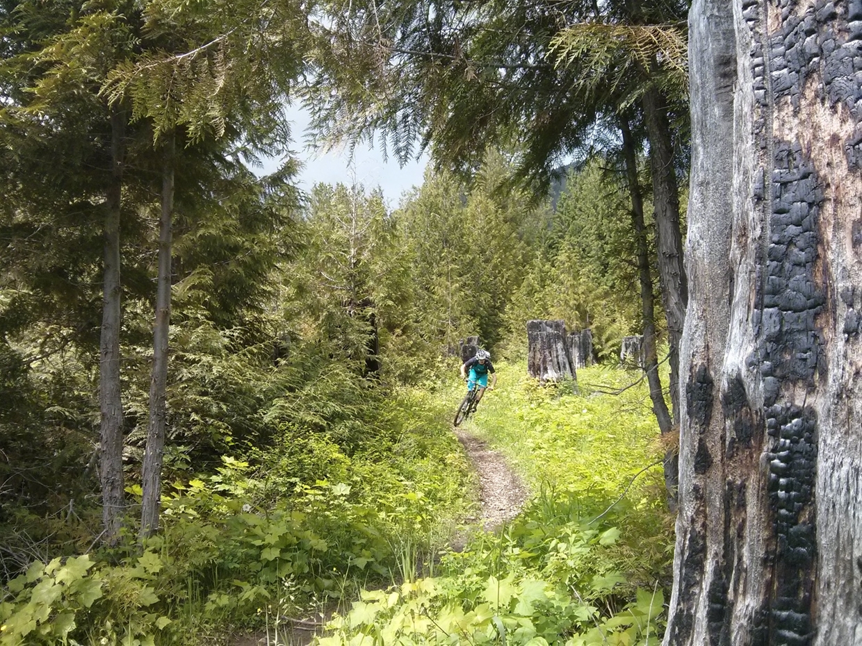 Get the most of your time biking here