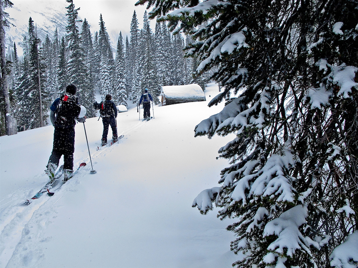 Tunnel Creek Hut