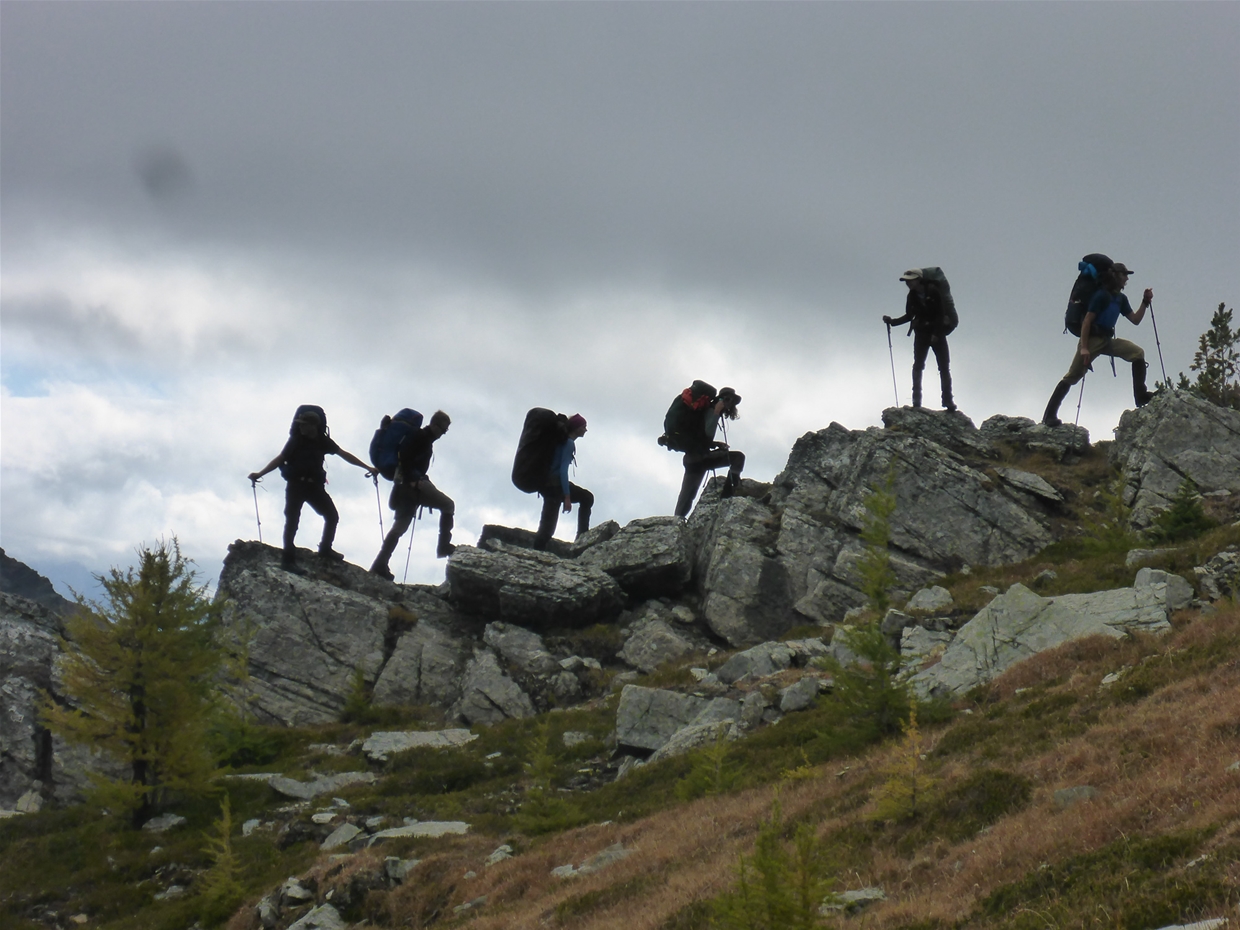 Learn to be a professional from our highly skilled professional instructors