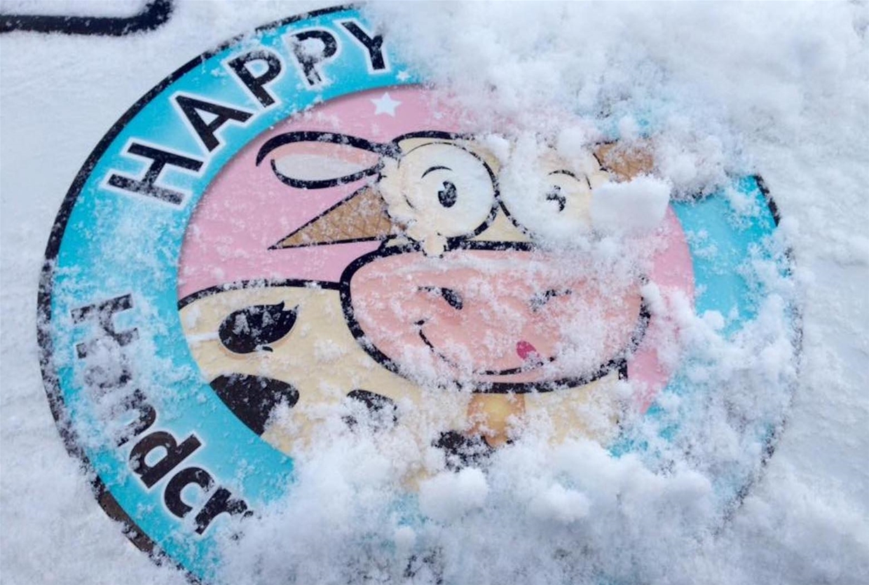 Good at any time of year!