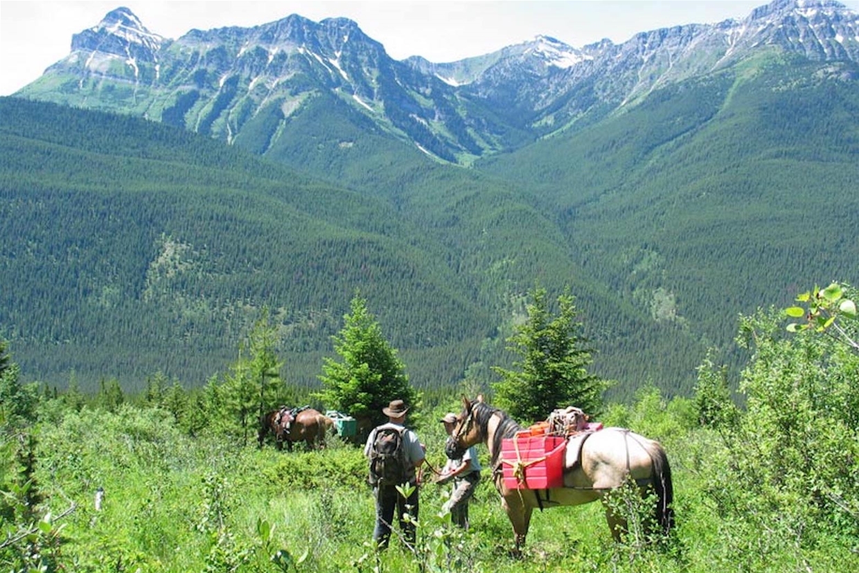 Spectacular Mountain Scenery