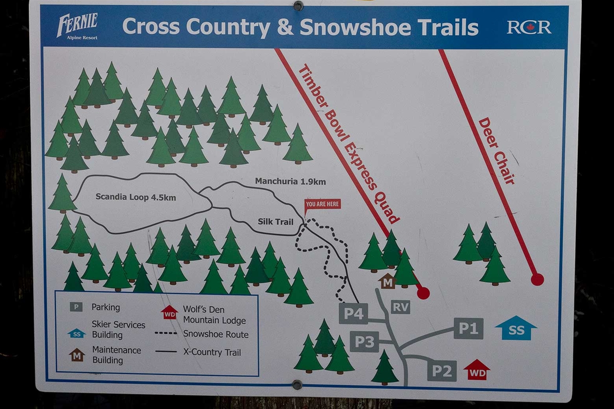Nordic ski map at Fernie Alpine Resort