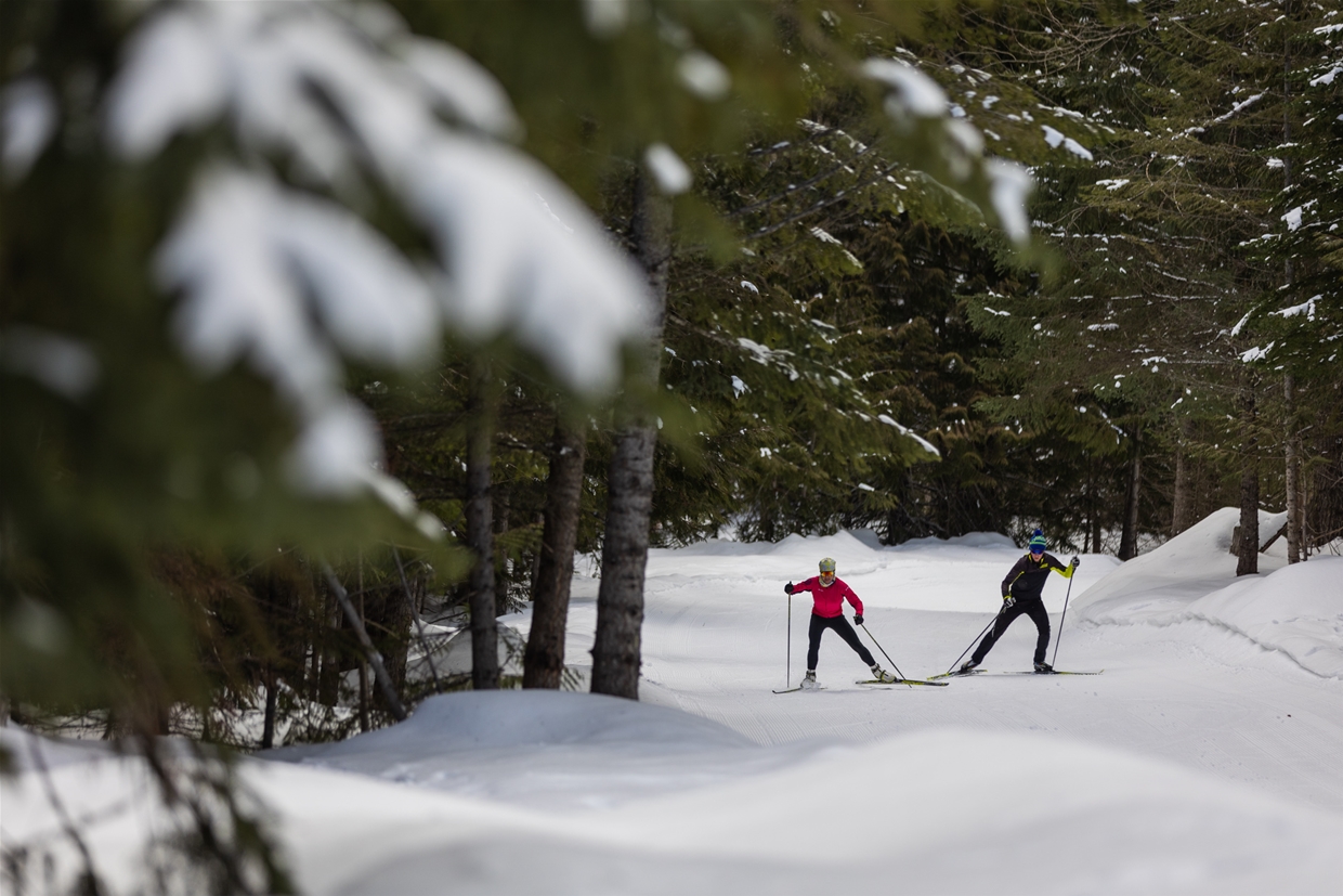 Skate Skiing at Fernie Alpine Resort