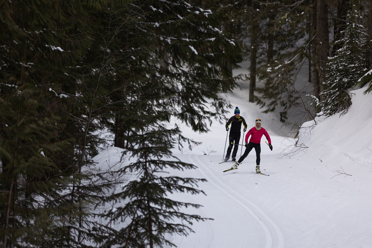 Skate Skiing at Fernie Alpine Resort
