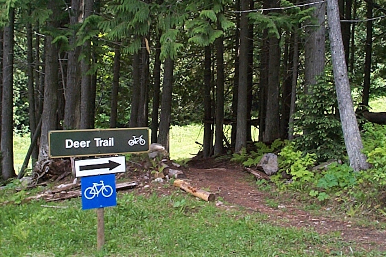 Deer Trail