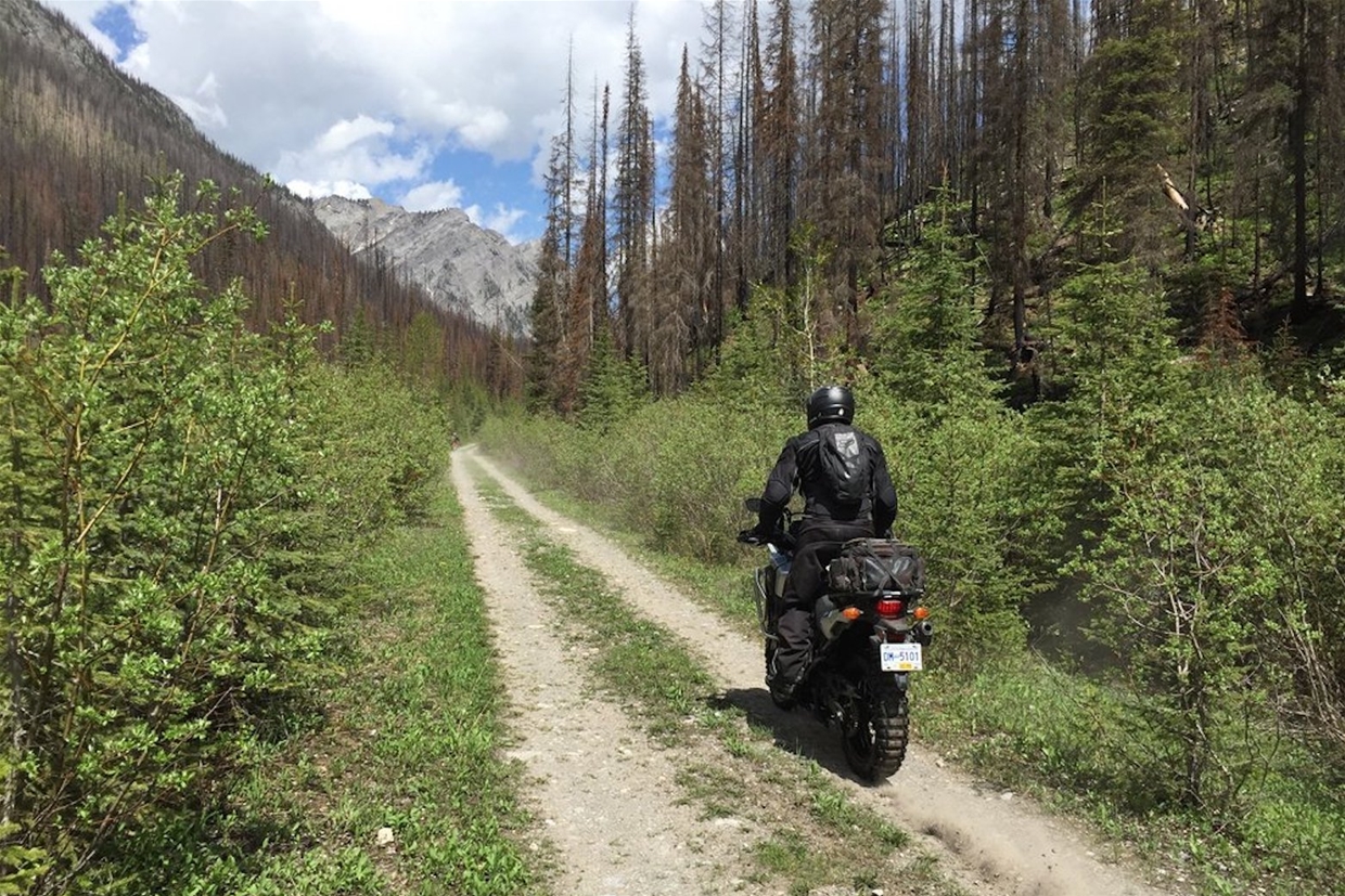 Endless double track to explore