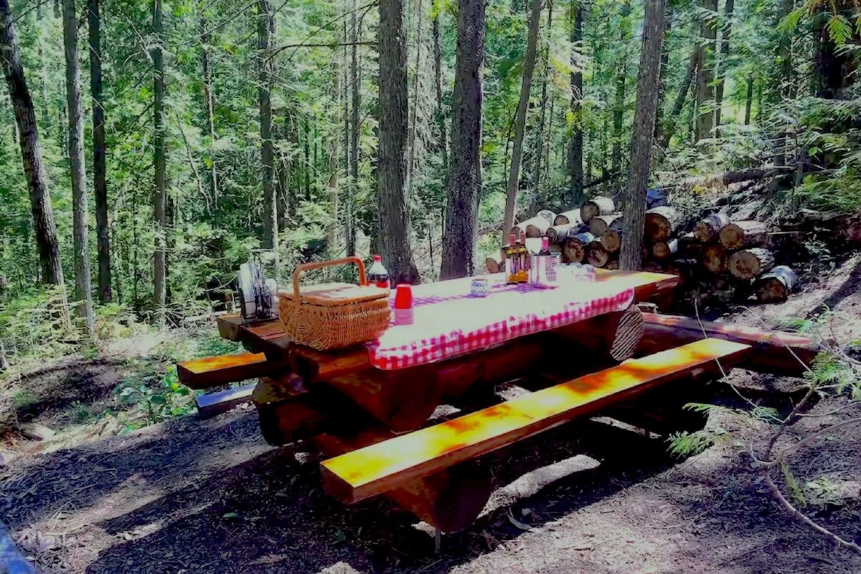 Fernie Log Cabin Picnic Area in the Woods