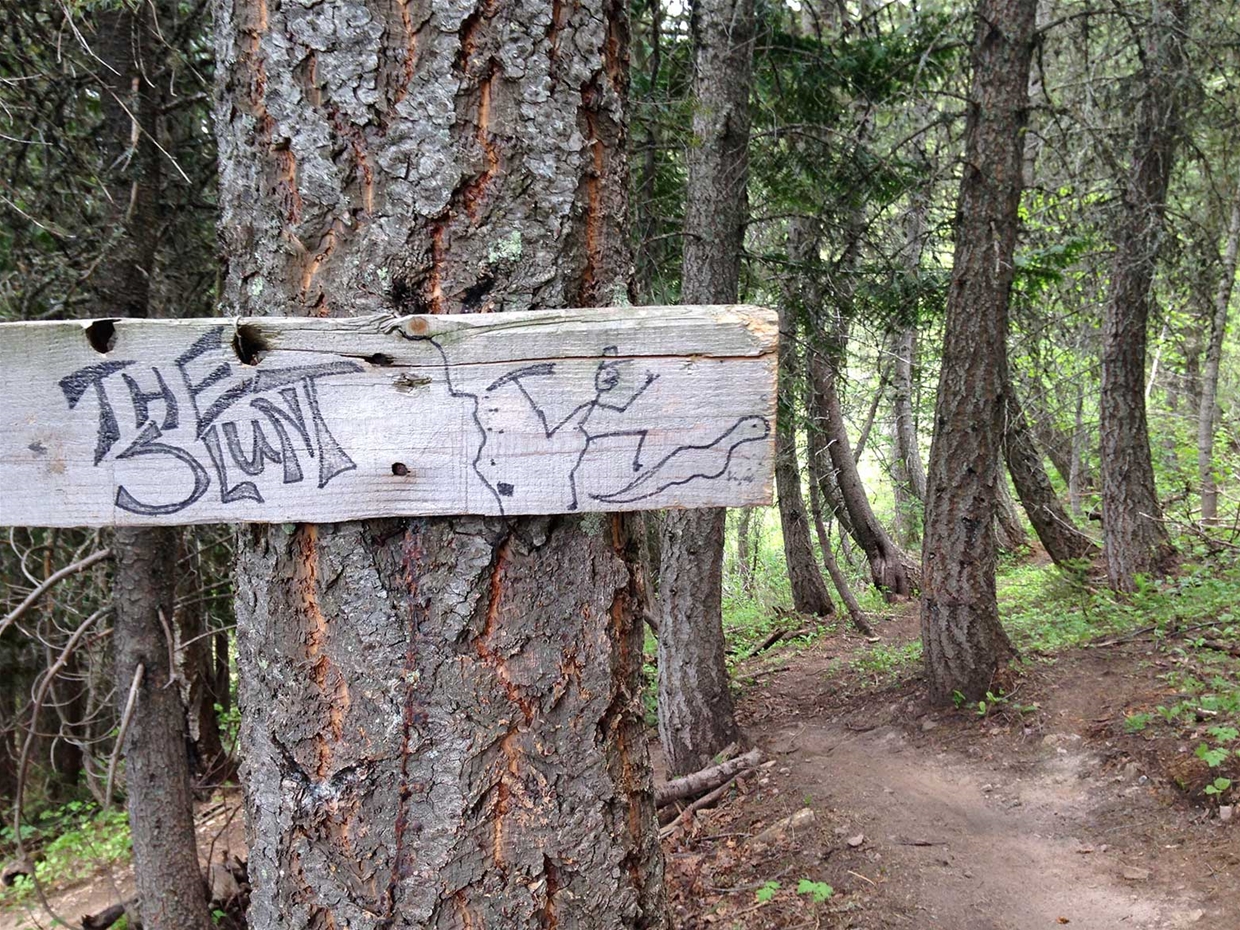 Slunt Trail / S-Bomb - Mt Fernie Trails