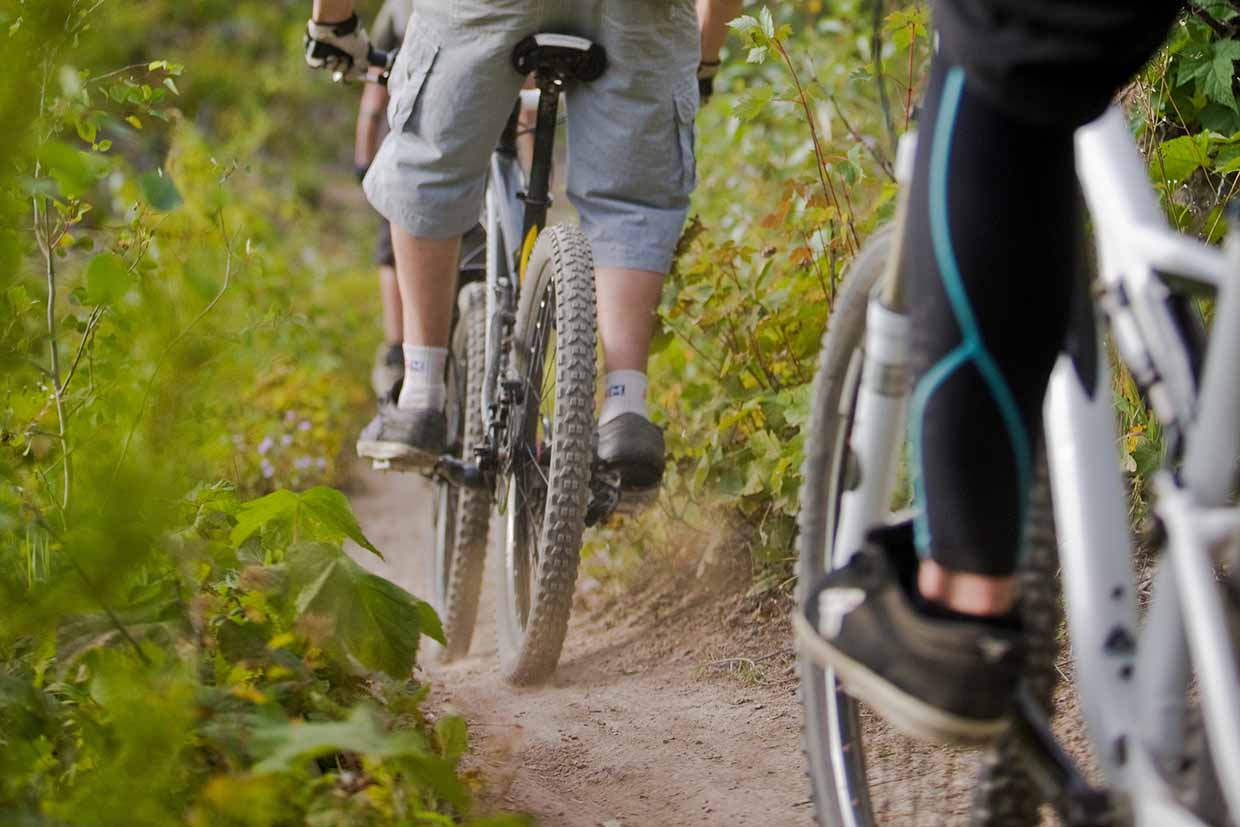 Castle Mountain singletrack trails