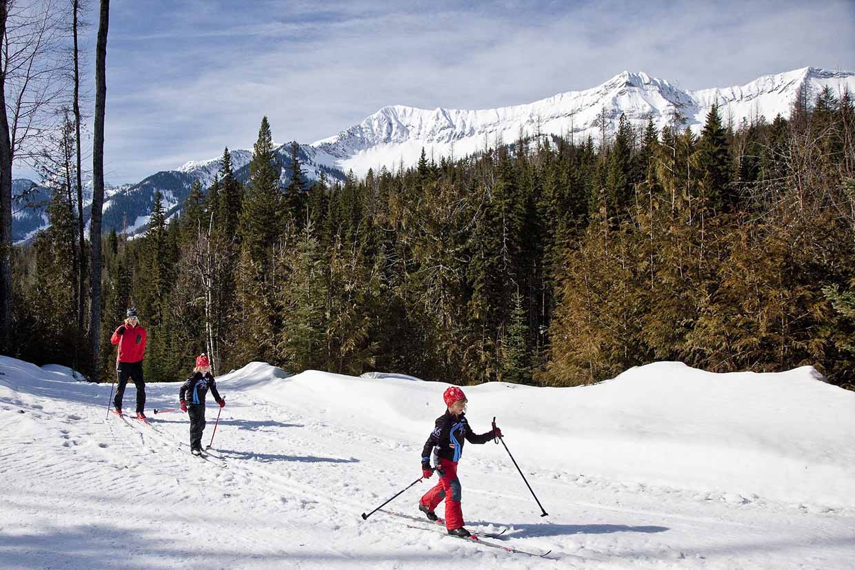 A fun activity for the whole family 