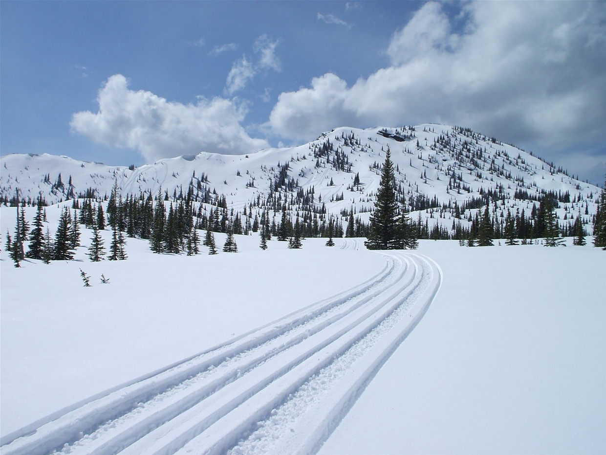 Fernie Snowmobile Association