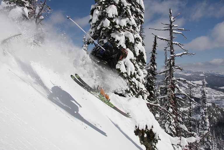 Snowcat skiing with FWA