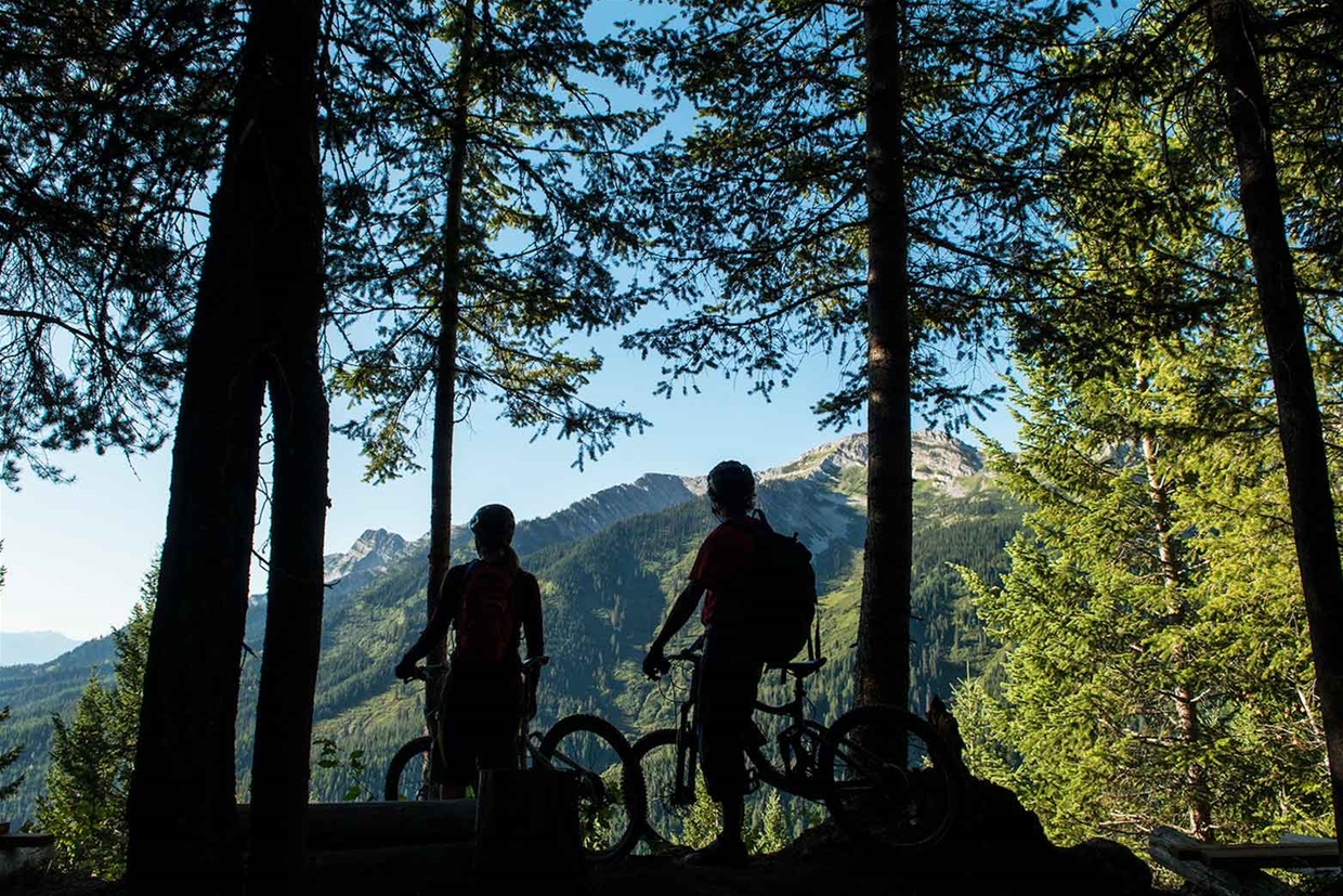 Lazy Lizard Trail Scenic View