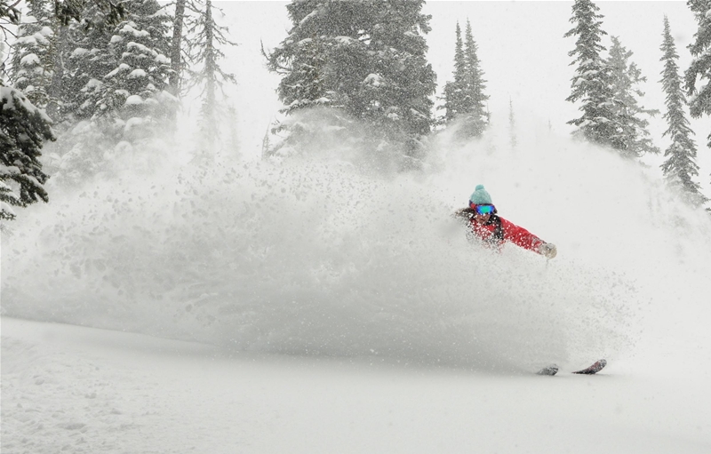 Famous Fernie powder