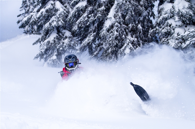 The Elk Valley is notorious for its deep, dry snow 