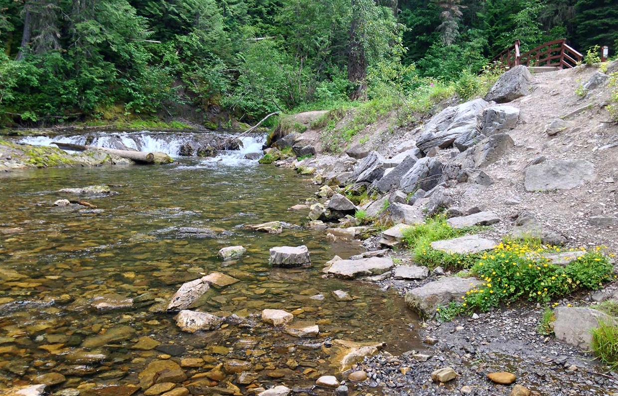 Mt. Fernie Provincial Park