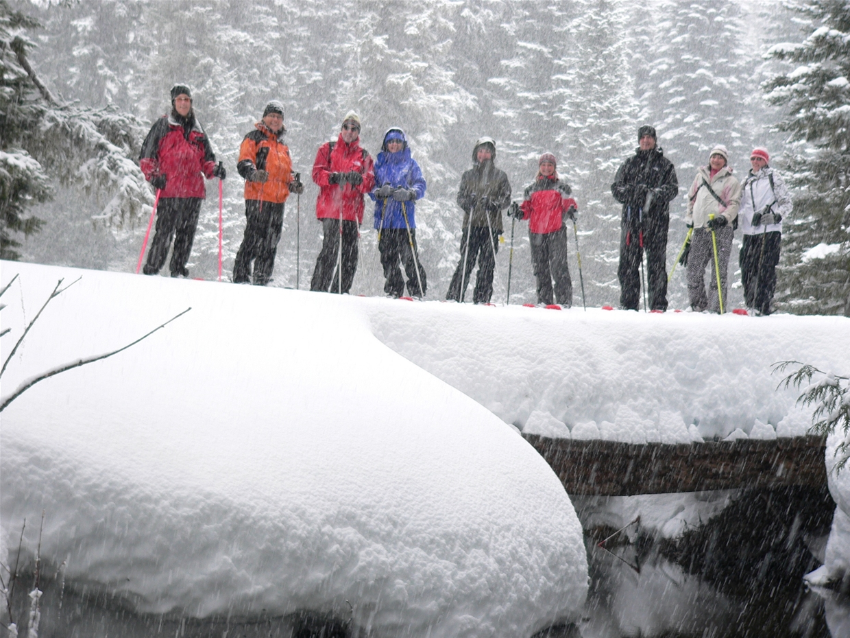 Snow Shoeing at Mt Fernie Provincial Park 