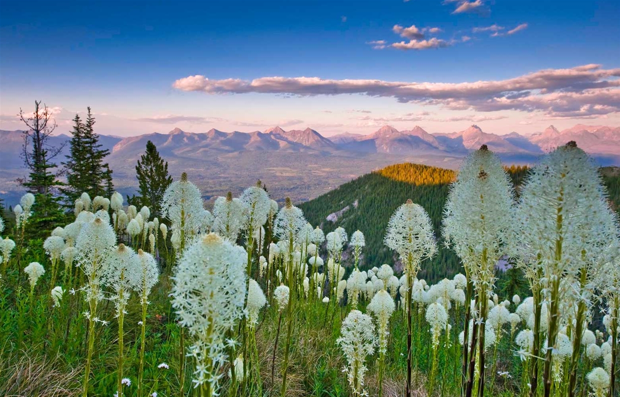 Photo: copyright Garth lenz  ilcp