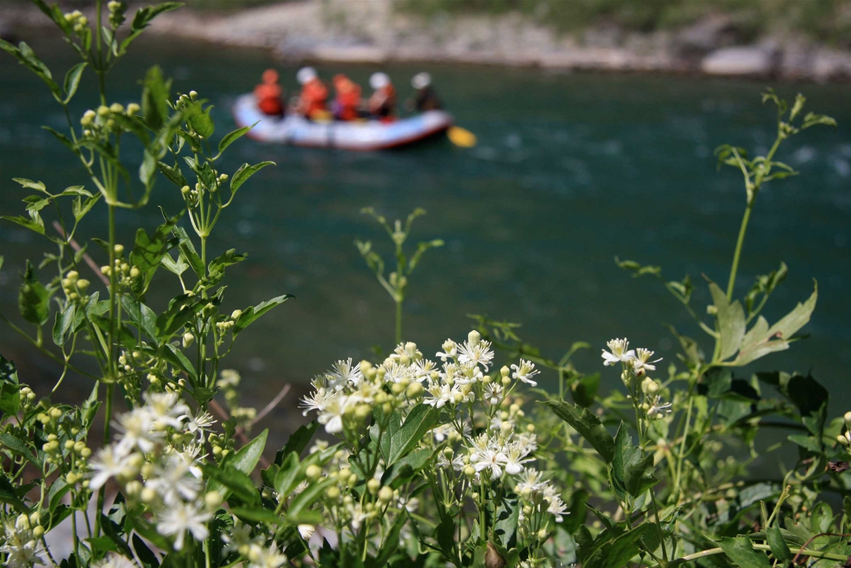 Scenic float trip on the Elk River