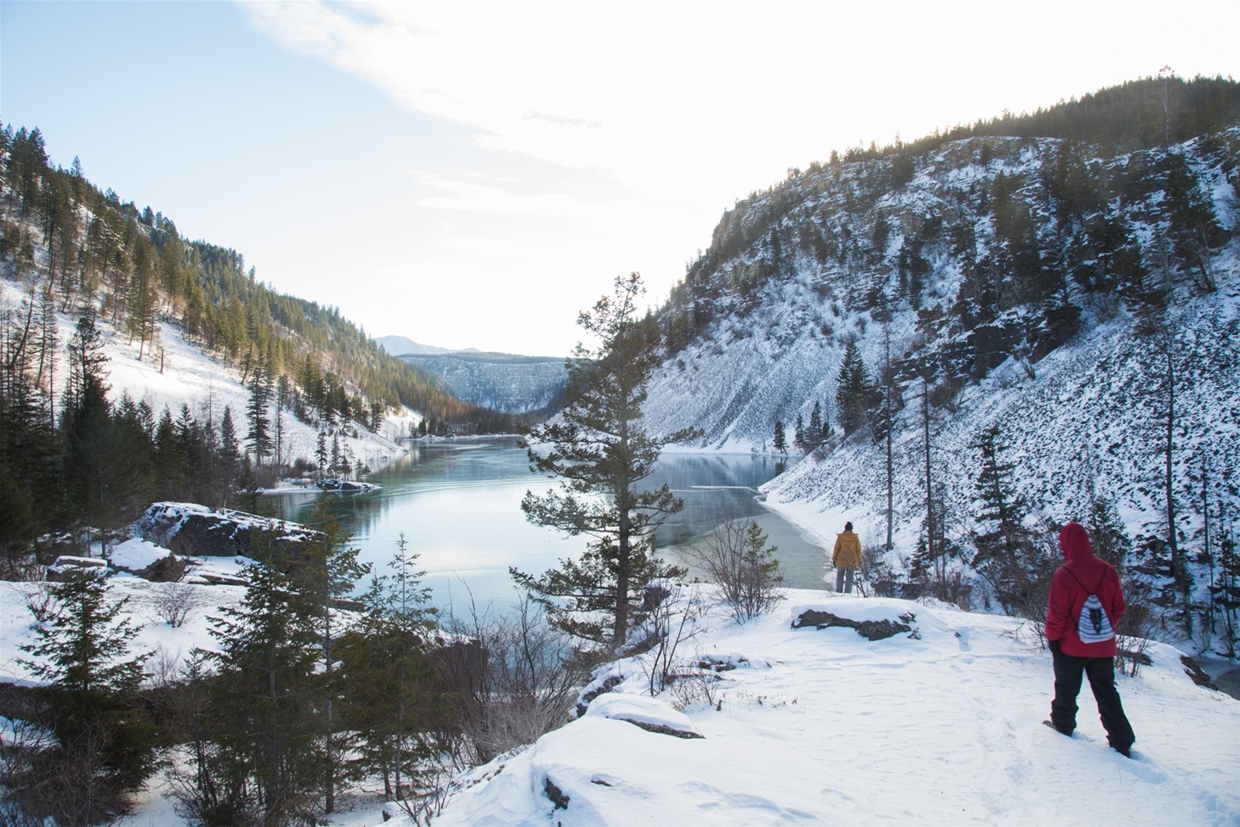 Winter at Silver Springs