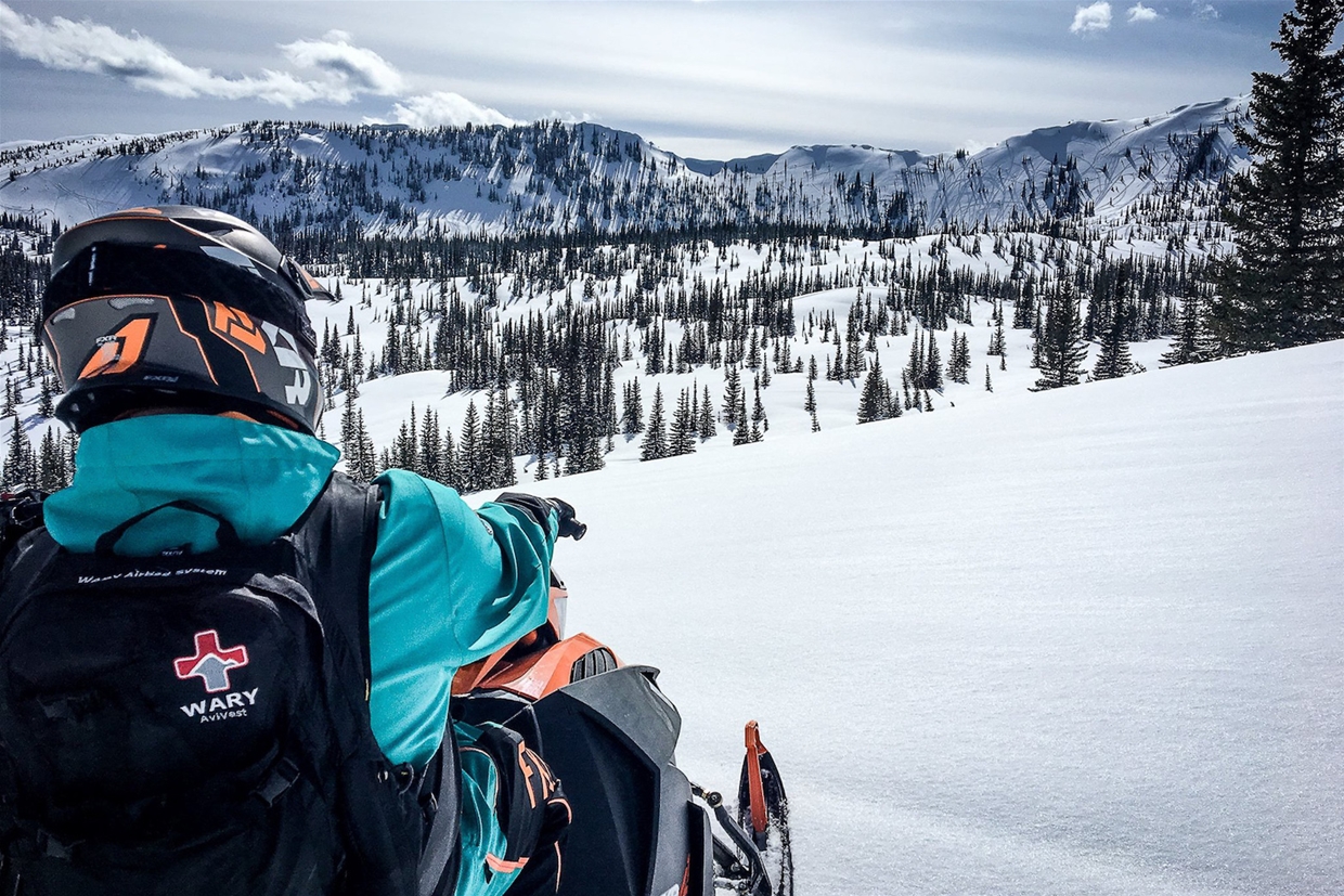 Elk Valley Snow Shepherds